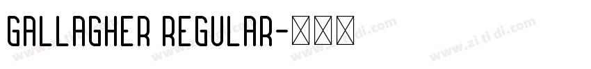 Gallagher Regular字体转换